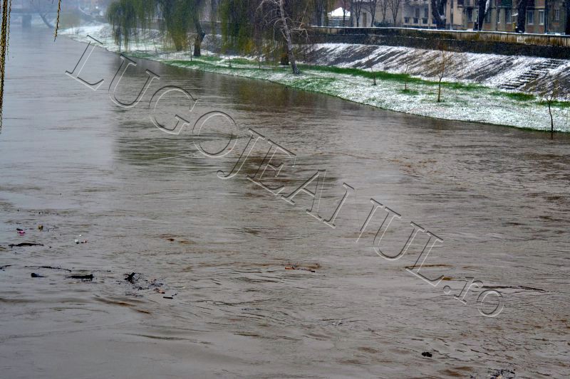 autoritati alerta timisul s-a umflat inundatii pericol bega balint bodo manastiur lugojeanul 2013 (2)