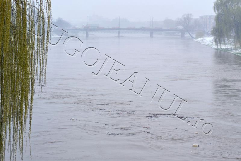 autoritati alerta timisul s-a umflat inundatii pericol bega balint bodo manastiur lugojeanul 2013 (3)