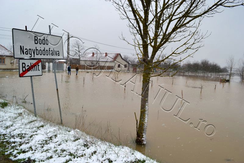 bodo inundatii 15 martie apa revarsare bega rau lugojeanul 2013 (1)