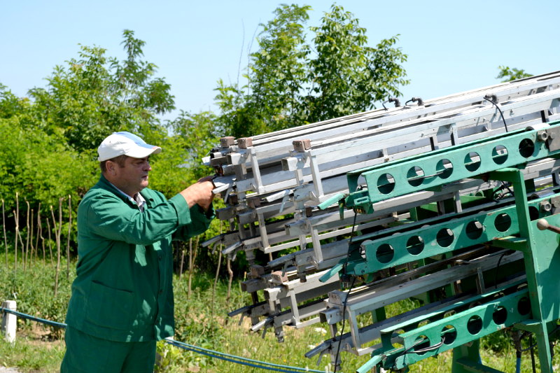rachete antigrindina la lugoj conferinta de presa saptamanala acum cativa ani boldea oameni culturi lanuri de grau agricultori lugojeanul 2013