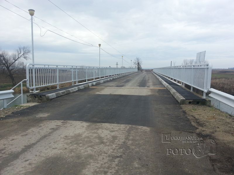 pod reabilitat costeiu foto galerie 20 ianuarie 2014 lugojeanul (3)