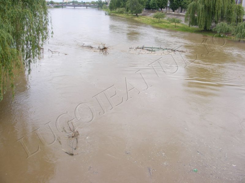 crengi fantana lui boldea lugoj timis rau umflat inundatii alerta foto galerie lugojeanul 5 mai 2014 (1)