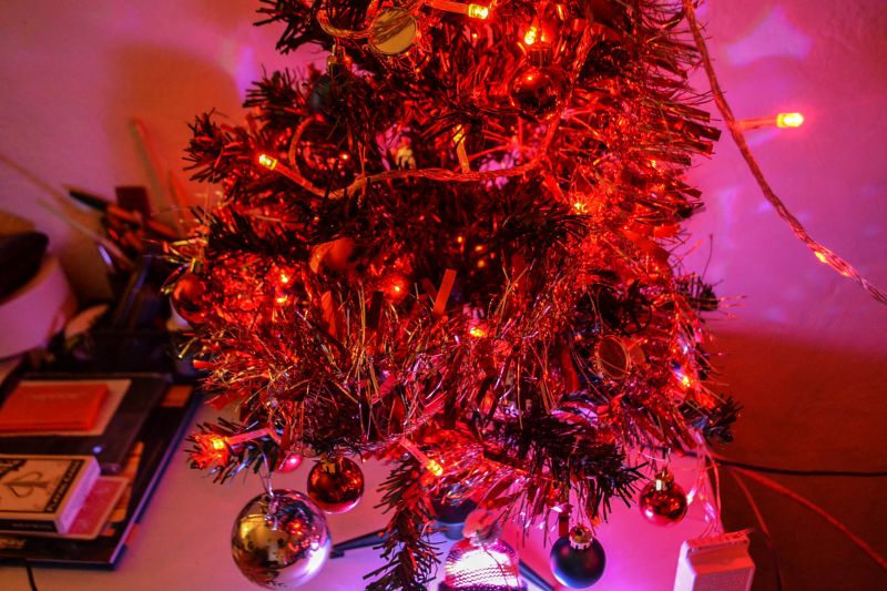 brad de craciun christmas tree winter holidays 2014